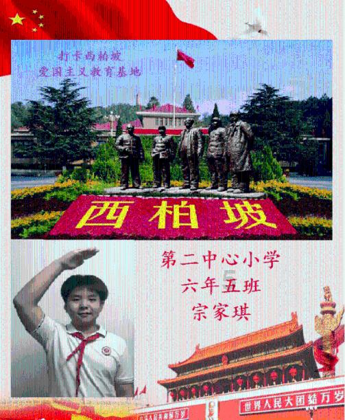 逃离棕榈树森林