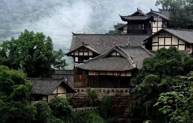饿狮救援